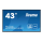 IIYAMA 42.5'' LE4340UHS-B1 Czarny - 443916 - zdjęcie